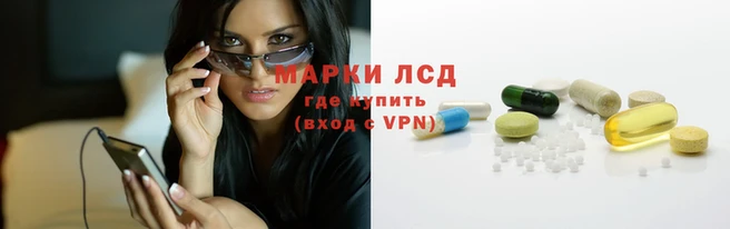 стаф Нефтекумск