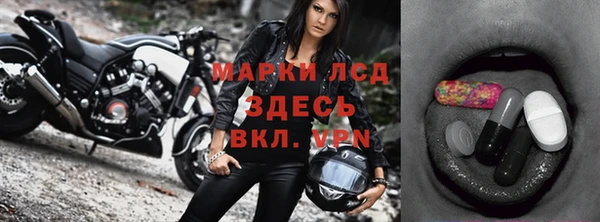 стаф Нефтекумск