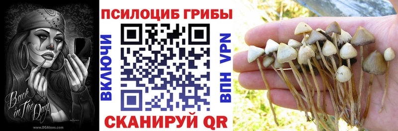 нарко площадка Telegram  Пугачёв  Псилоцибиновые грибы Cubensis 